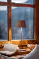 Sompex Troll RC rost Akku LED Tischleuchte