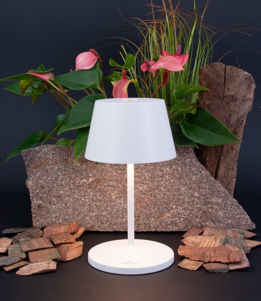 Villeroy & Boch Seoul 2.0 spacegrey Akku LED Tischleuchte