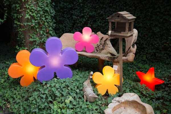 8 Seasons Design Motivleuchte Shining Flower 40 cm pink