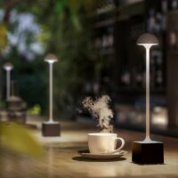 Sompex Flora weiß Akku Outdoortischleuchte