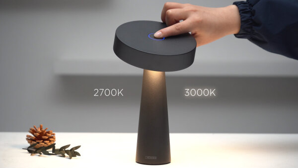 NEWDES Tip weiß Outdoorleuchte