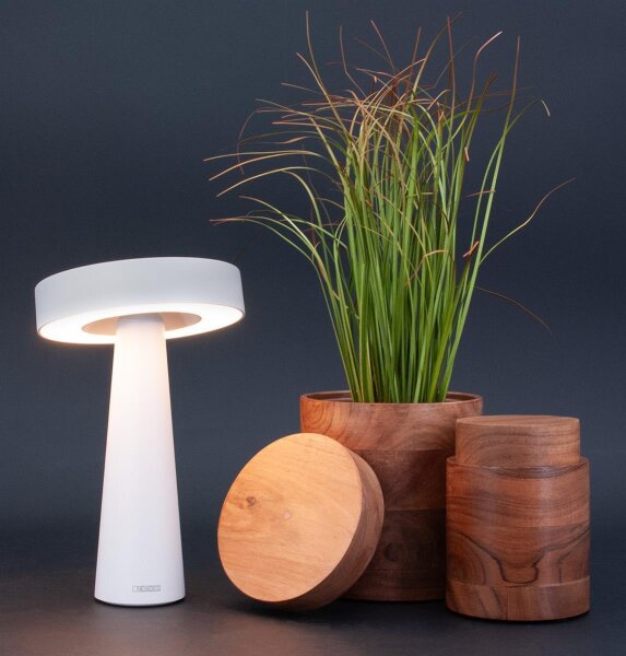 NEWDES Tip schwarz Outdoorleuchte