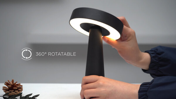 NEWDES Tip schwarz Outdoorleuchte