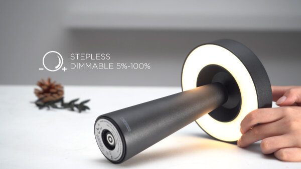 NEWDES Tip schwarz Outdoorleuchte