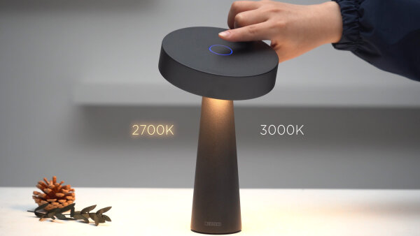 NEWDES Tip schwarz Outdoorleuchte