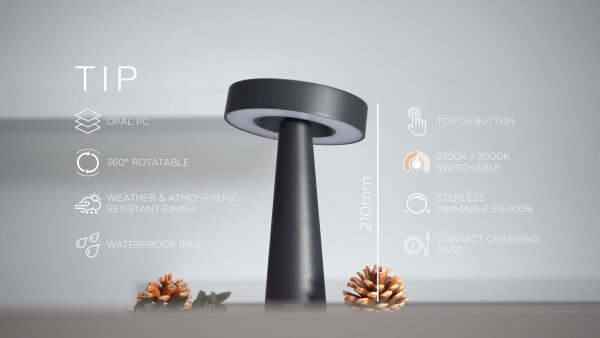 NEWDES Tip schwarz Outdoorleuchte