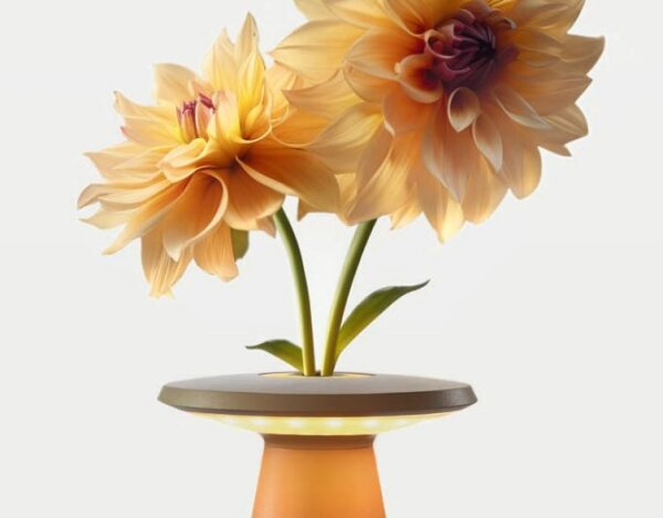 Sigor Nuflair sonnengelb Akku-Tischleuchte mit Vaseneinsatz