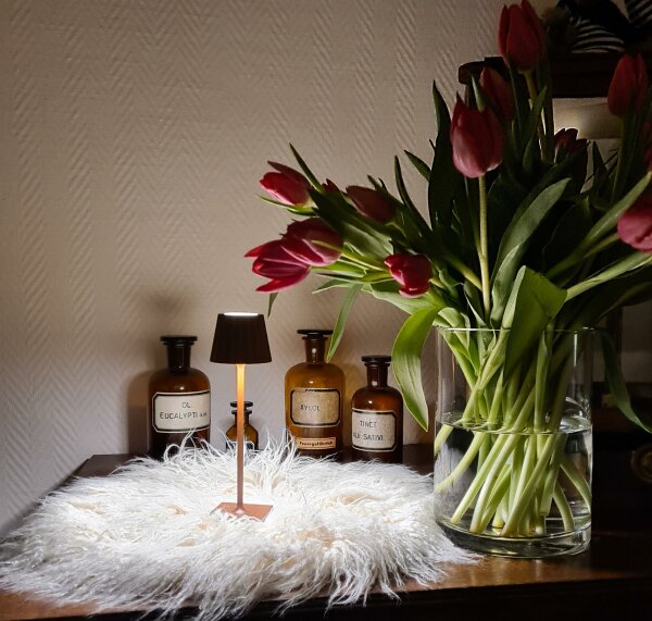 Sompex Troll Nano Akku LED Tischleuchte Outdoorleuchte schwarz