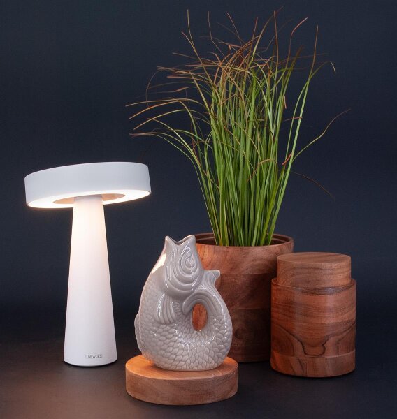 Monsieur Carafon Fisch Vase XS Grau 0,2 LITER