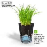 Gefu 2er Set Kräutertopf BOTANICO
