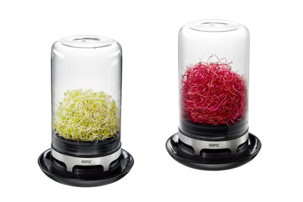 Gefu 2er Set Sprossenglas BIVITA