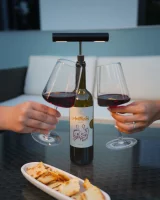 Sompex Korky Akku- Flaschenleuchte schwarz