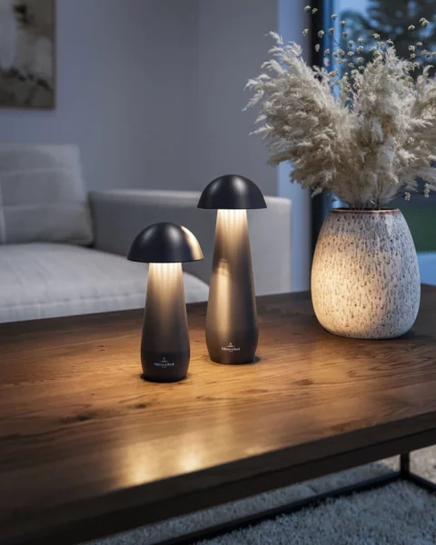 Villeroy & Boch Modena 21cm Akku LED Tischleuchte anthrazit