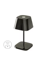 Villeroy & Boch Neapel RC spacegrey Akku LED...