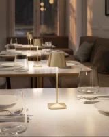 Villeroy & Boch Neapel Micro RC gold gebürstet...