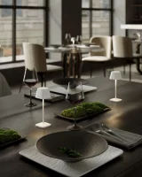 Villeroy & Boch Neapel Micro RC graphit gebürstet Akku Tischleuchte