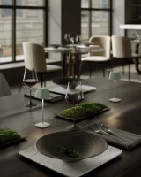 Villeroy & Boch Neapel Micro RC oliv Akku Tischleuchte