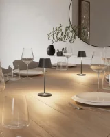 Villeroy & Boch Seoul Micro RC graphit gebürstet...