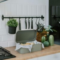 Siegwerk Brotkasten PANOVA L Sage Harmony