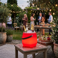 THE MOOX BOWL Getränkekühler LED RGB mit...