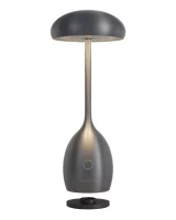 Villeroy & Boch Akku Tischleuchte TRIEST graphit gebürstet