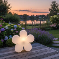 8 Seasons Design Motivleuchte Shining Flower 60 cm...